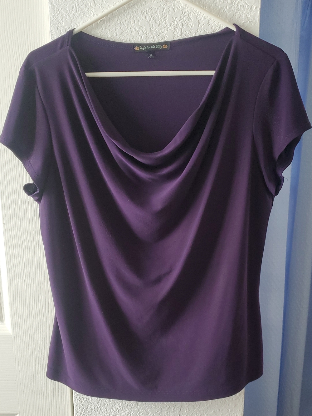 Suzie In The City Draped Cowl Neck Top in Purple